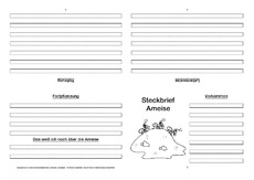 Ameise-Faltbuch-vierseitig-1.pdf